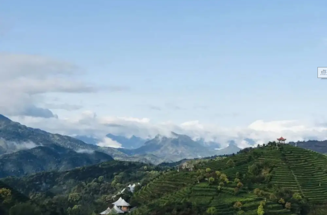 ̽· ˗U | ɽcGɽ áX