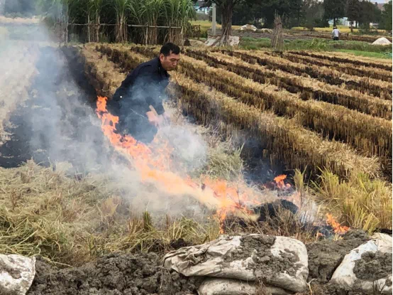 Դ^ץ ԙCƱLЧfȫ¶ٟО