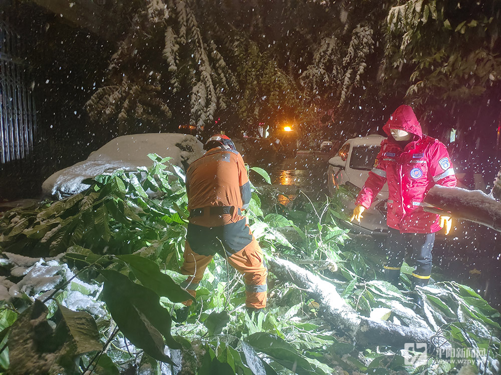 寒潮雨雪來襲 他們溫暖守護(hù)