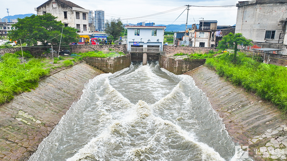 搶修水閘保安全