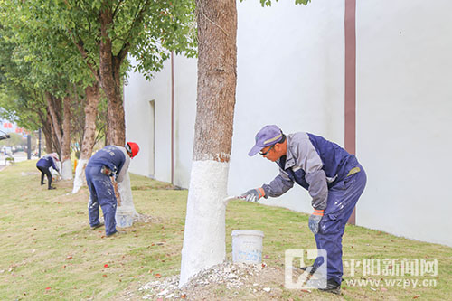 樹木刷白好過(guò)冬